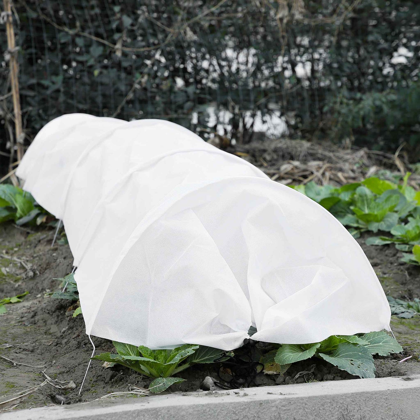 Poly Grow Tunnel 300x45x30cm