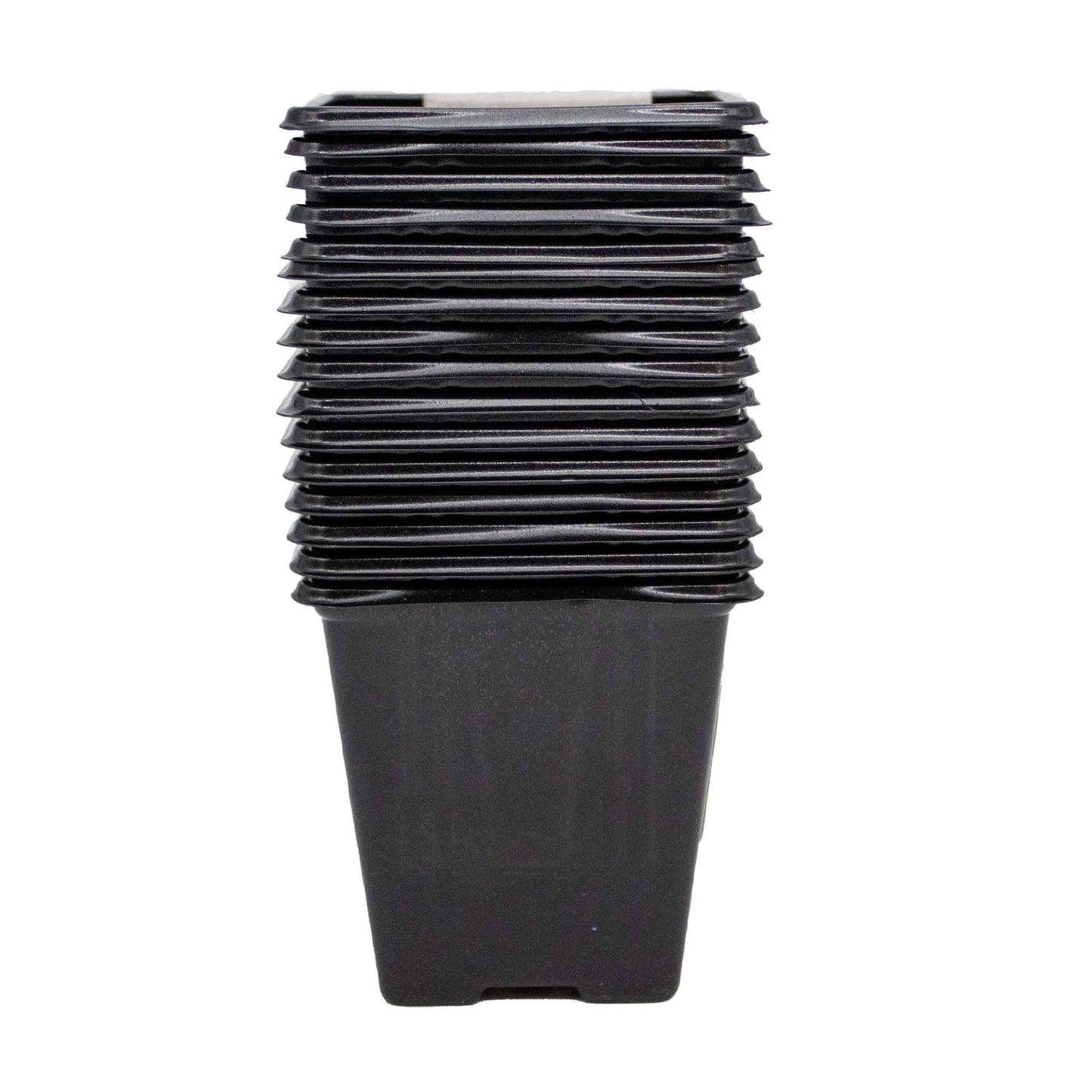 Black Sqaure Pots 7cm 15PK