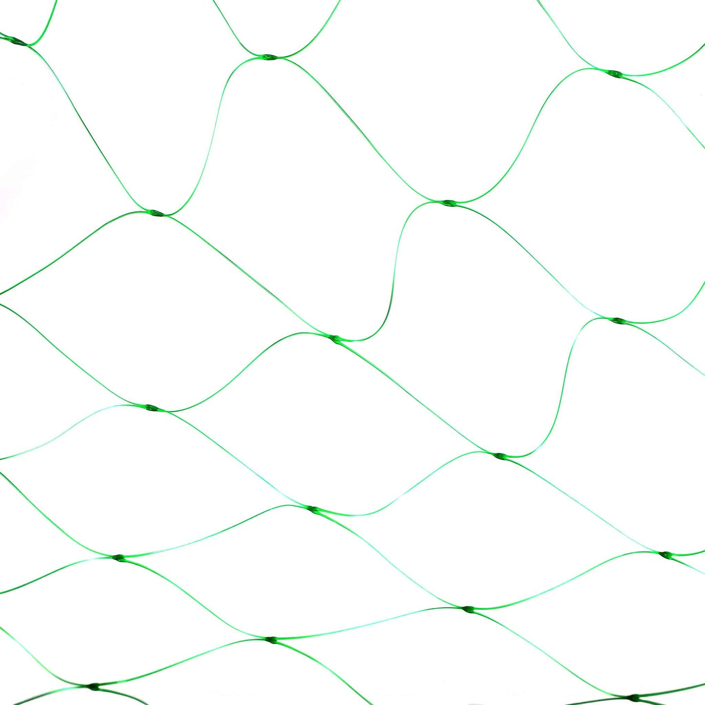 Garden Pea and Bean Netting 1.7mx6m