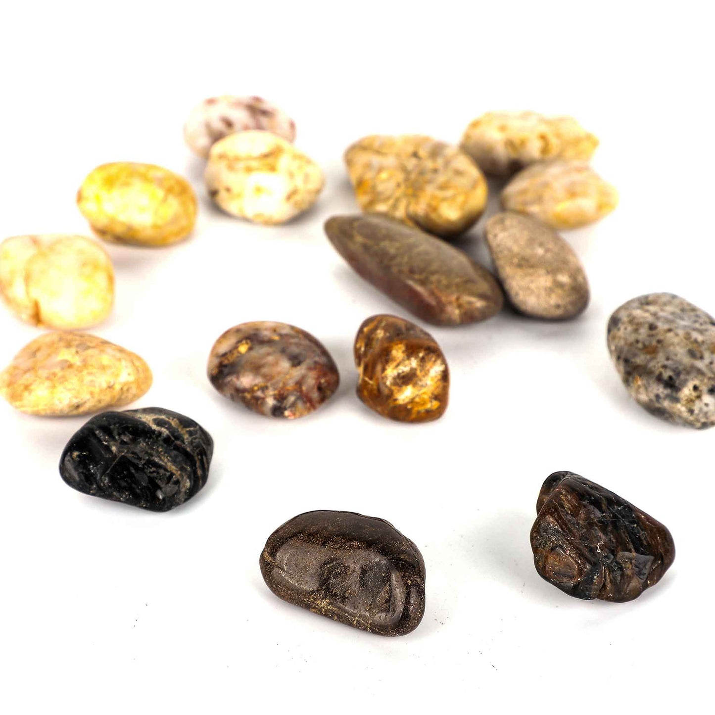 Mixed Polished Pebbles