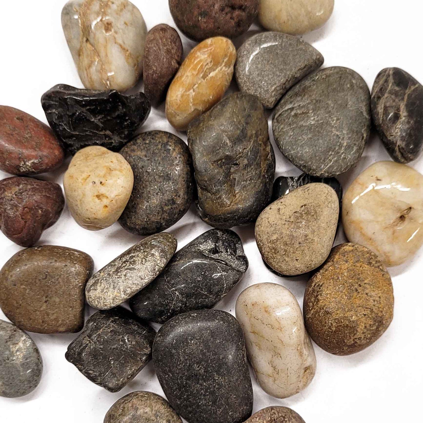Mixed Polished Pebbles