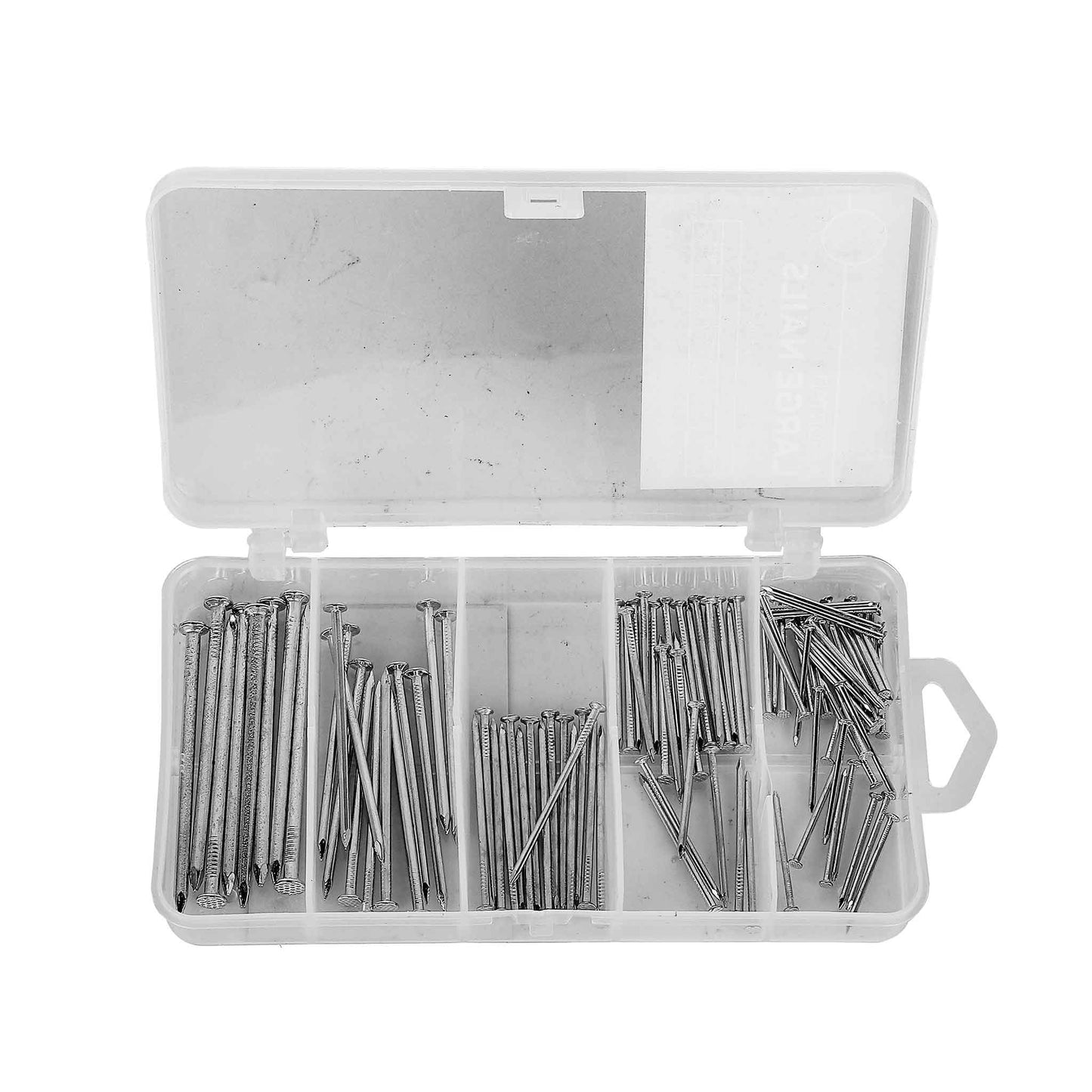 Large Nails 100 Assorted