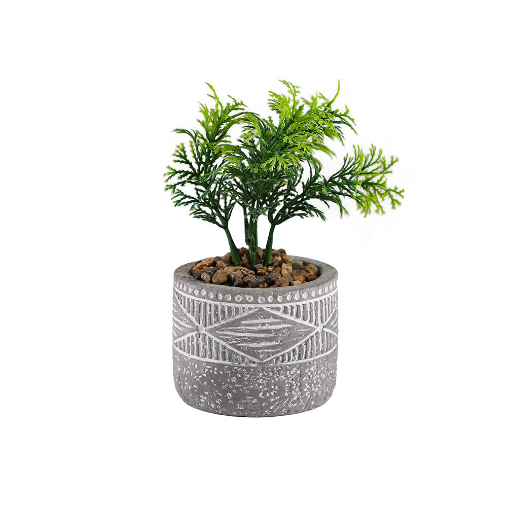 Decorative Patterned Grey Pot of Plant