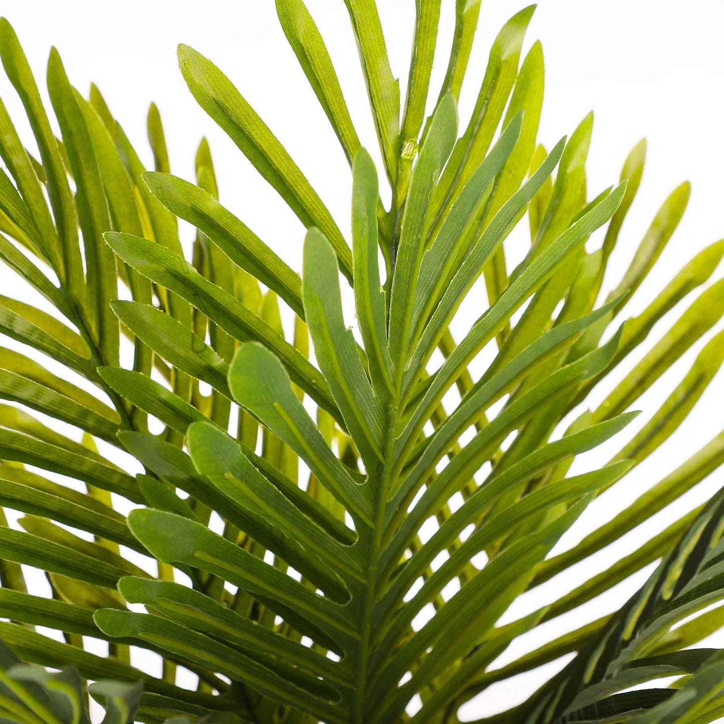 Palm Leaf 70cm