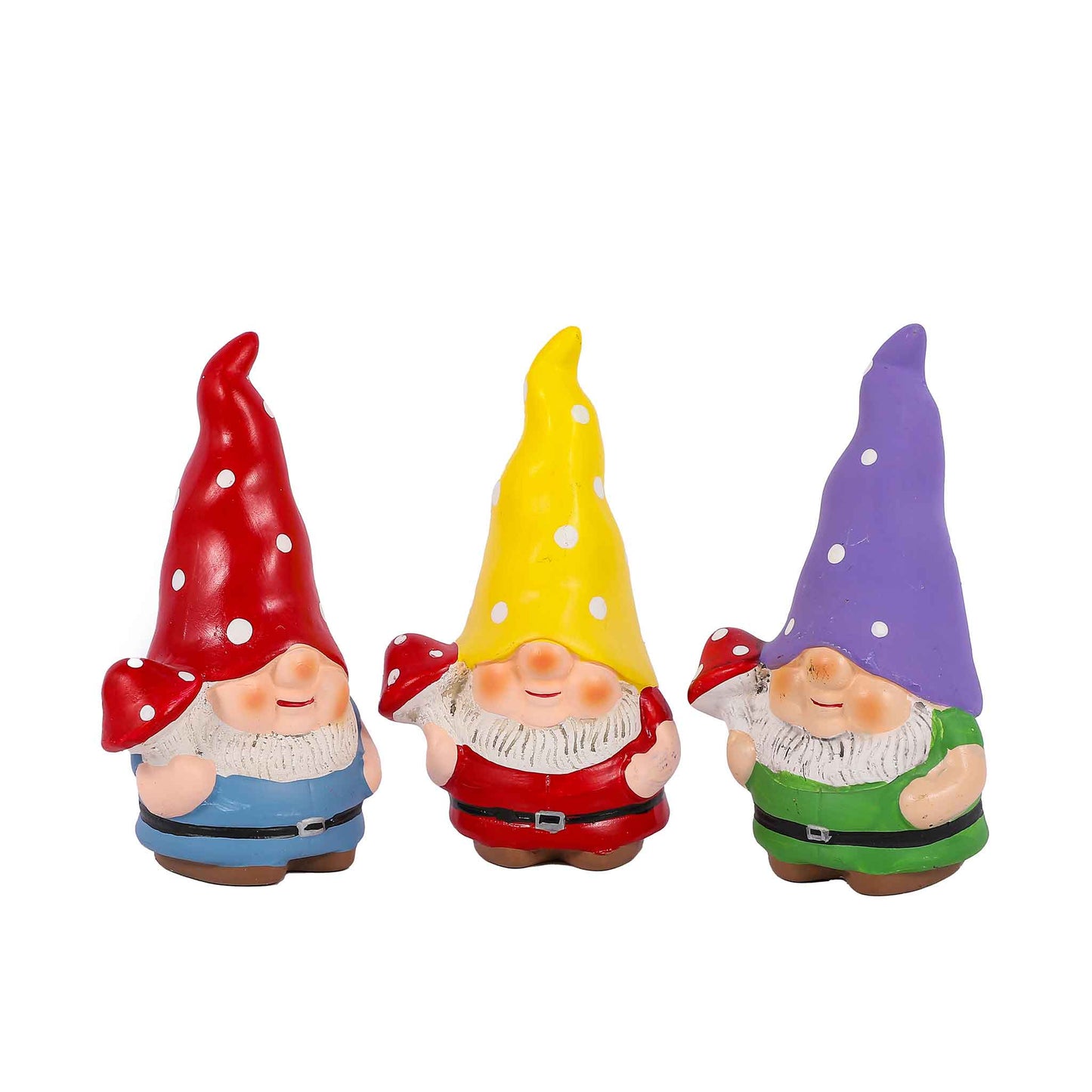 Gnome & Toadstool