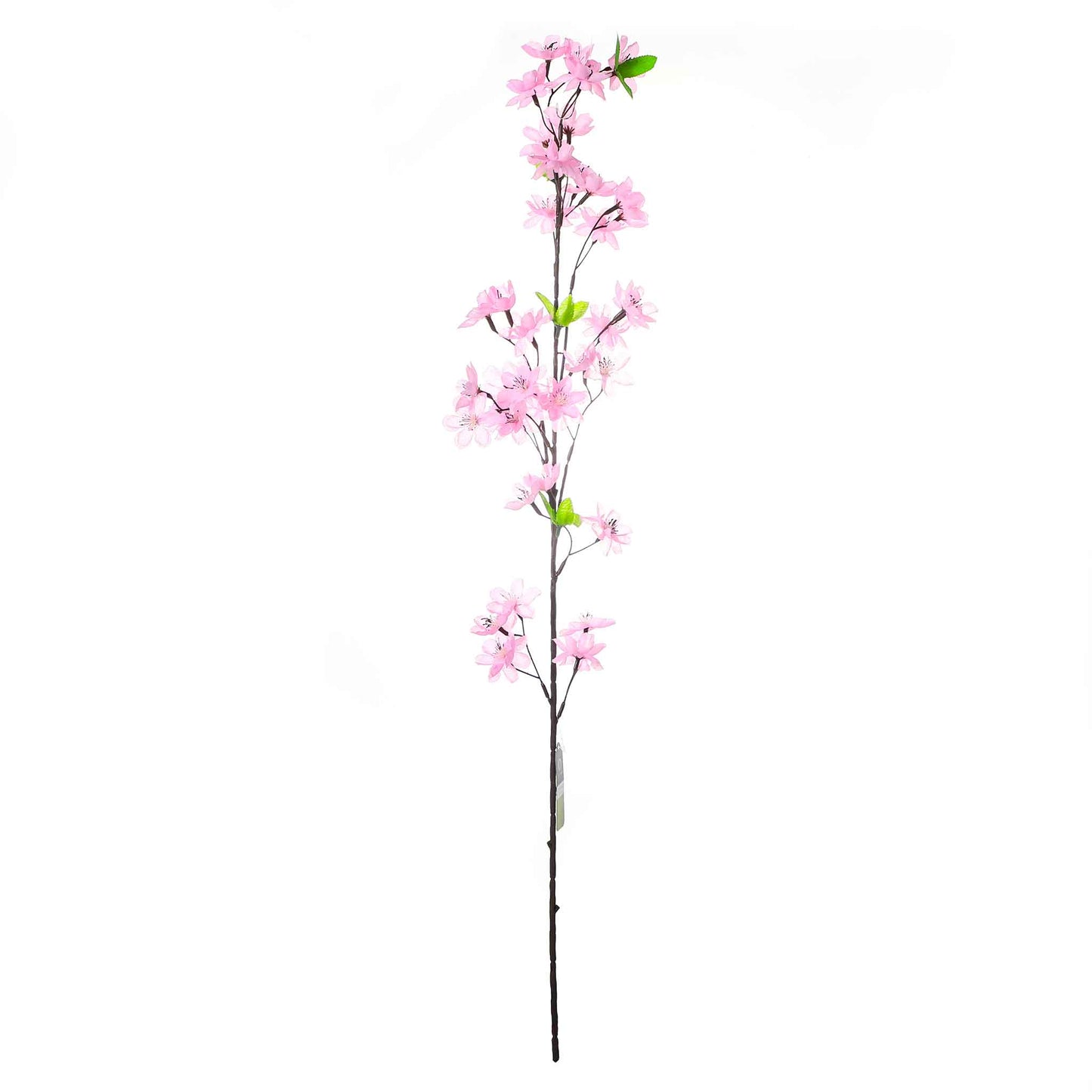Flower Blossom