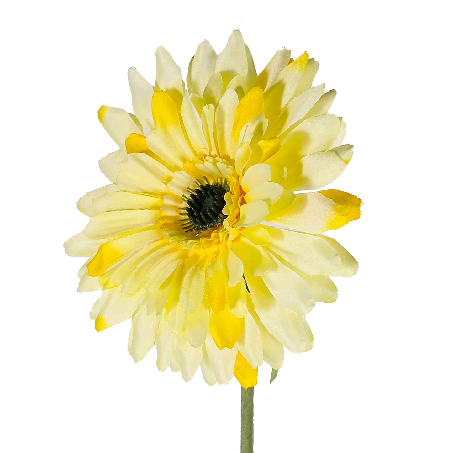 Single Stem Gerbera