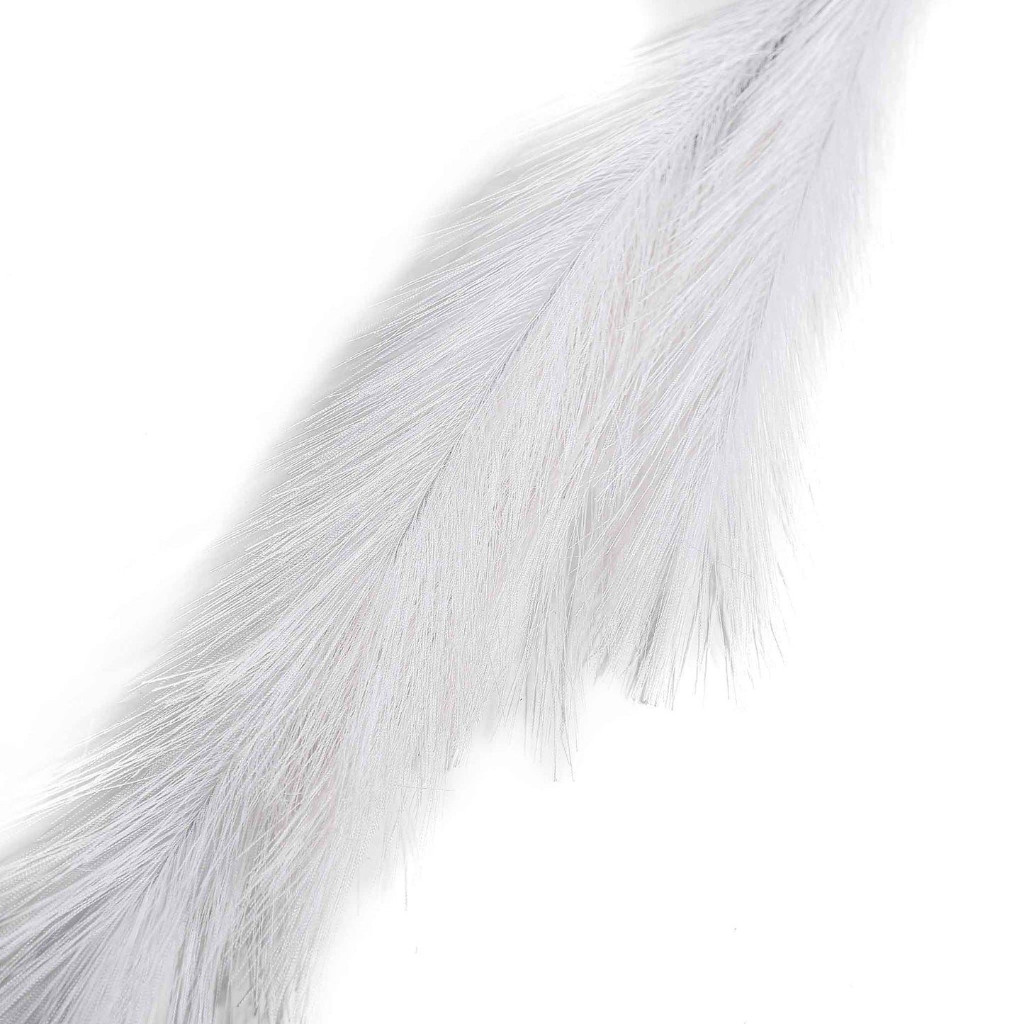Pampas Grass Assorted 90cm