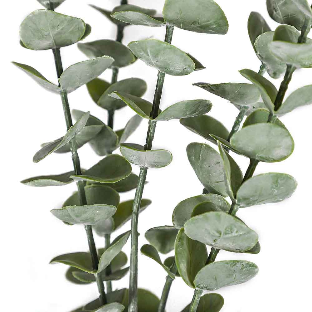 Eucalyptus Stem 90CM