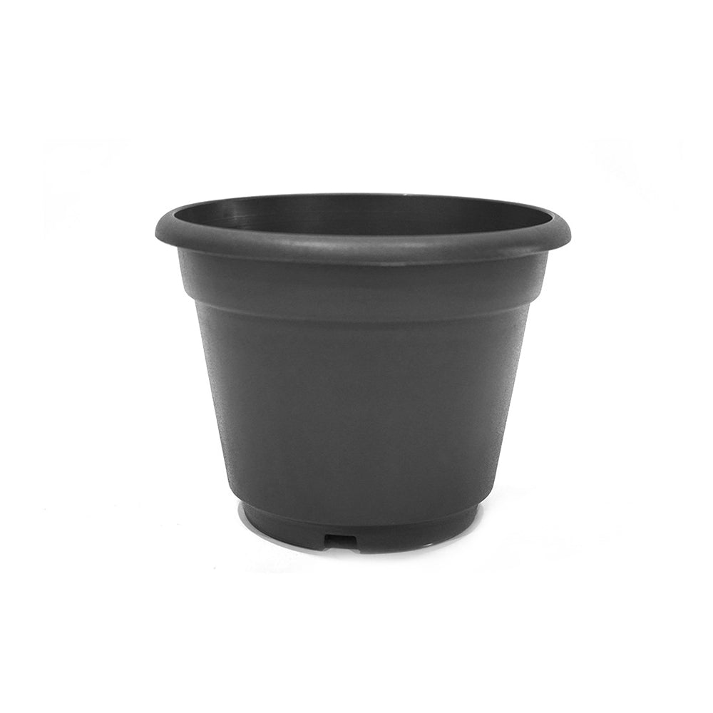 Plastic Summer Plant Pot 22Cm X 18Cm