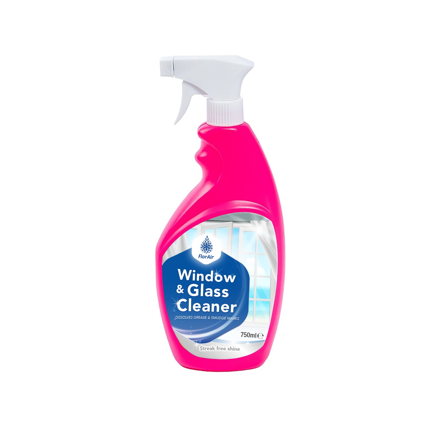 Window & Glass Cleaner 750ML