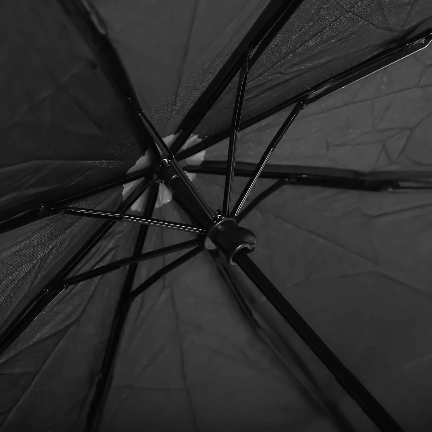 Black Umbrella Basic
