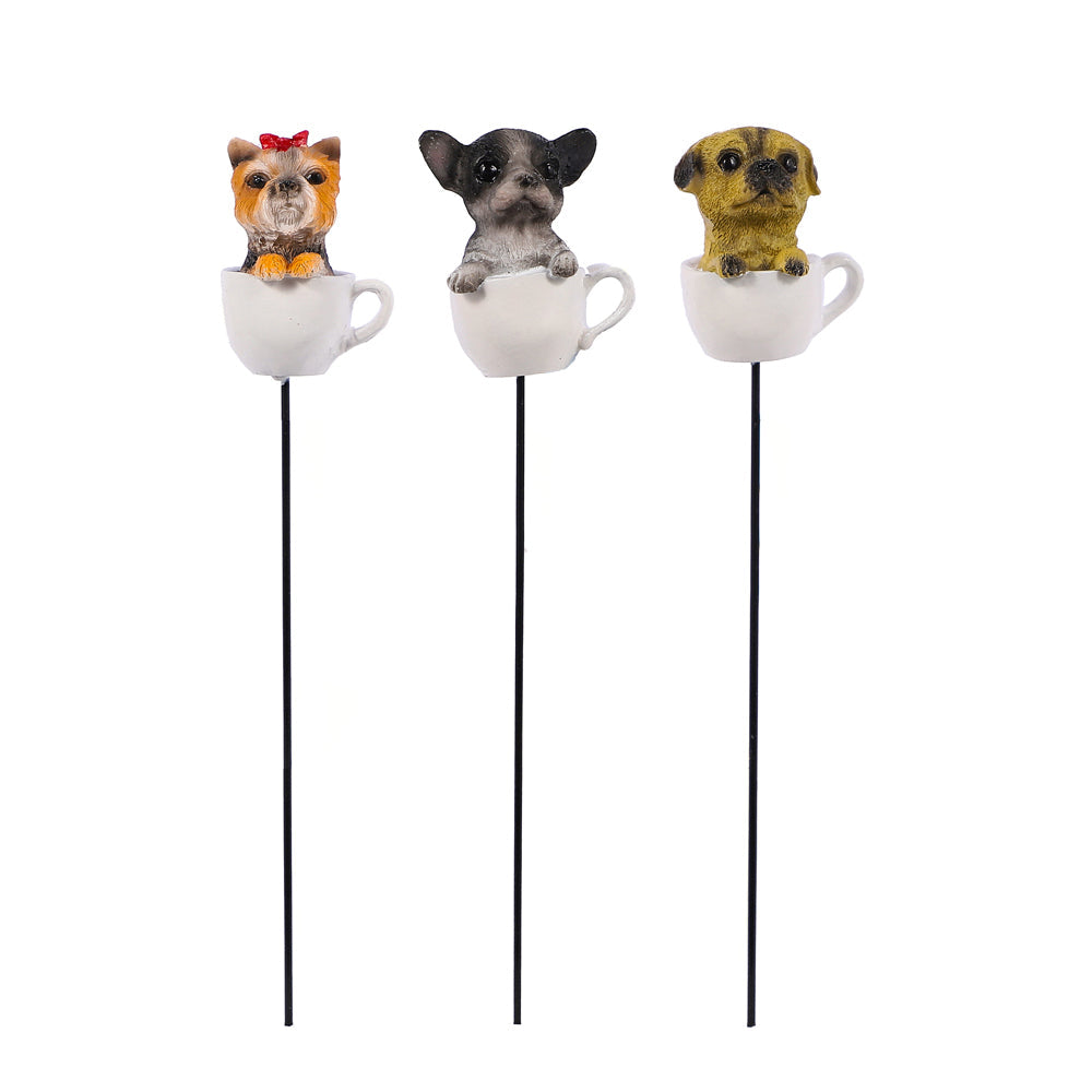 Puppy Stake