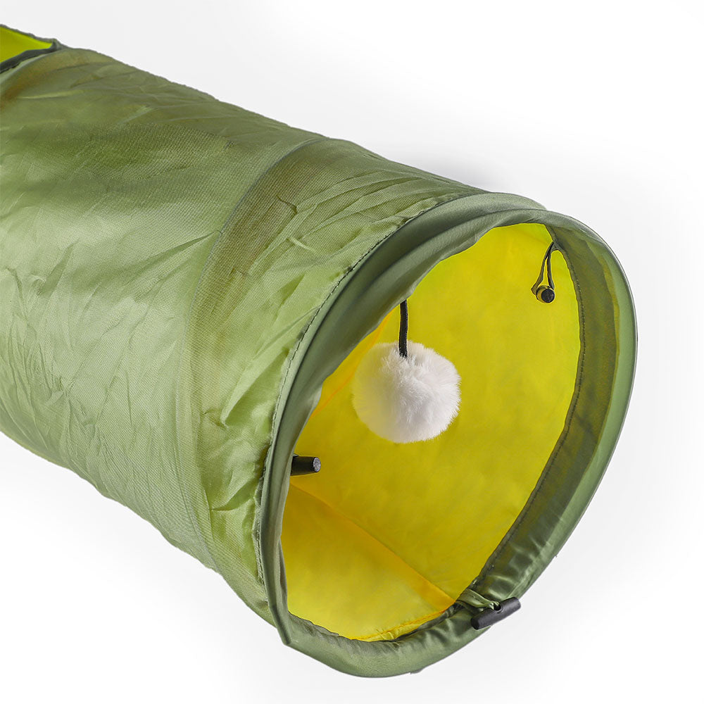 Cat Tunnel