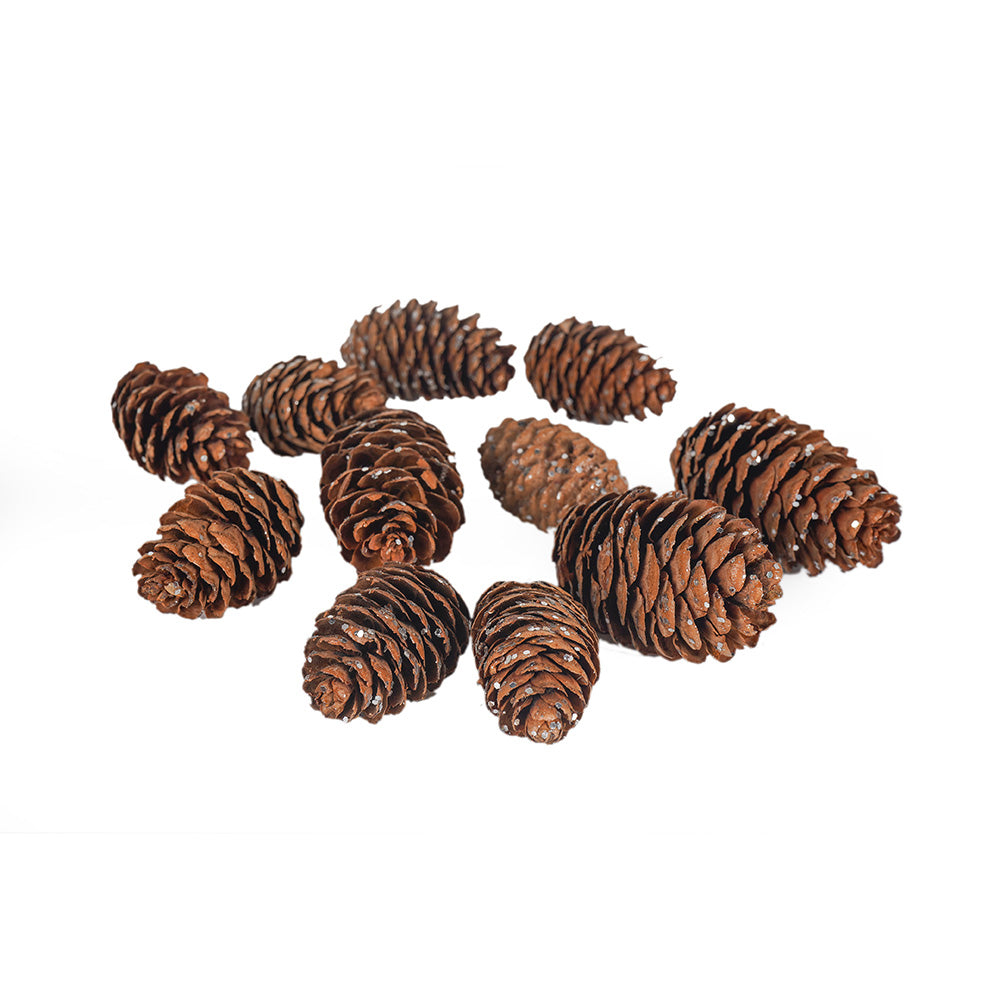 Christmas Pinecones 11PCS