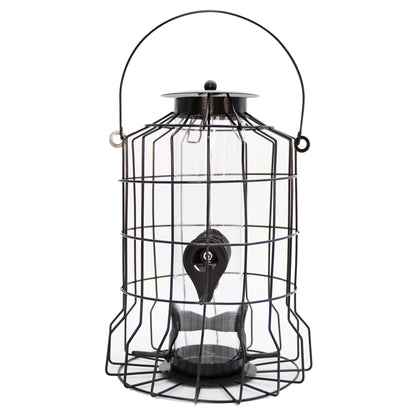 Caged Seed Feeder