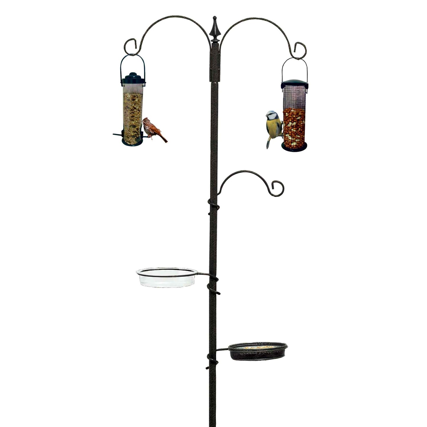 Bird Feeding Station