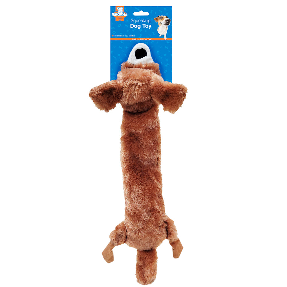 Squeaky Dog Toy