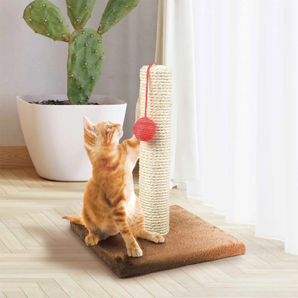 Cat Scratching Post