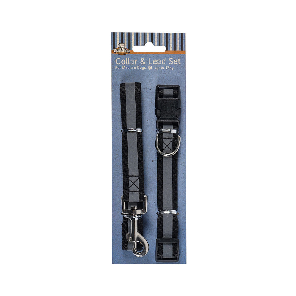 Dog Collar & Lead Set