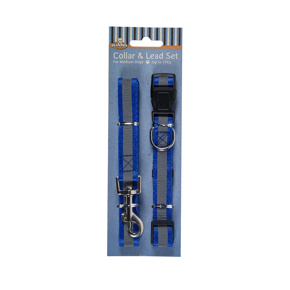Dog Collar & Lead Set