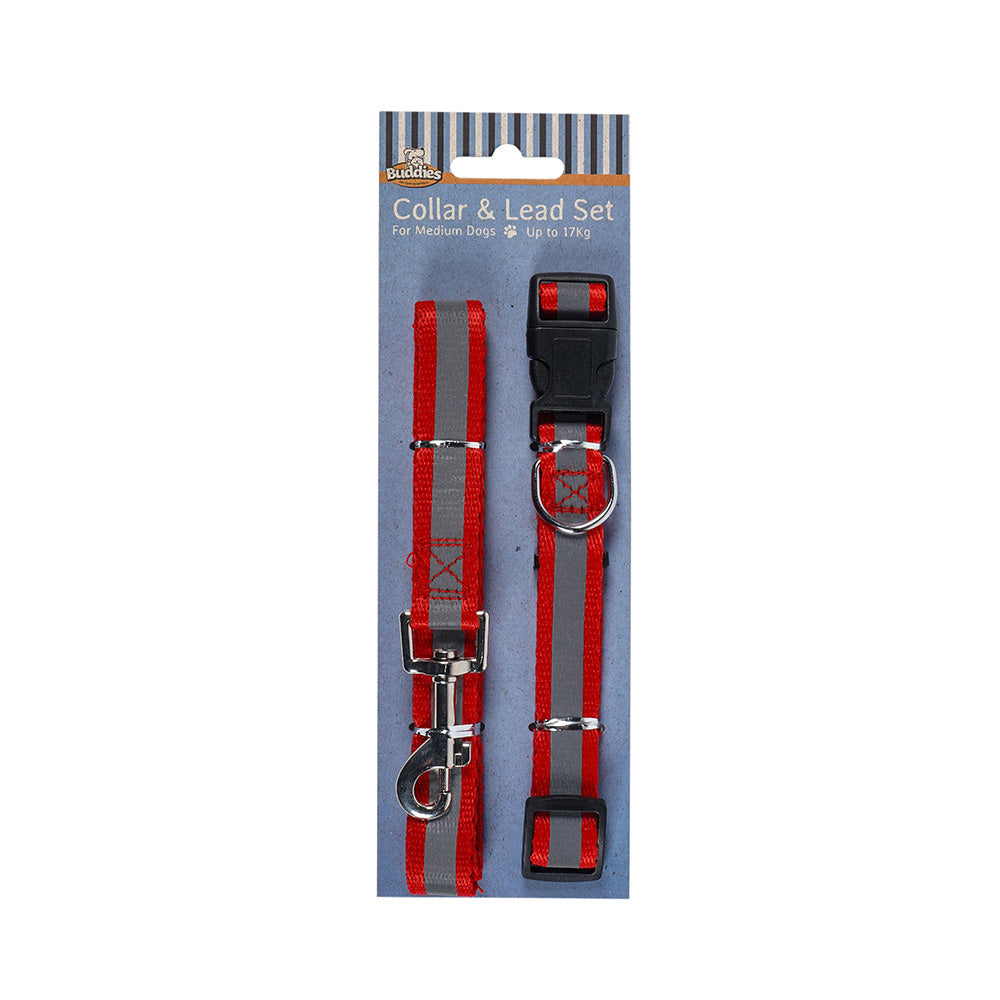 Dog Collar & Lead Set