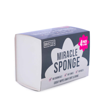 Wipe Away Sponge 4+2Free