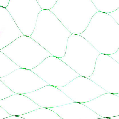 Garden Pea and Bean Netting 1.7mx6m