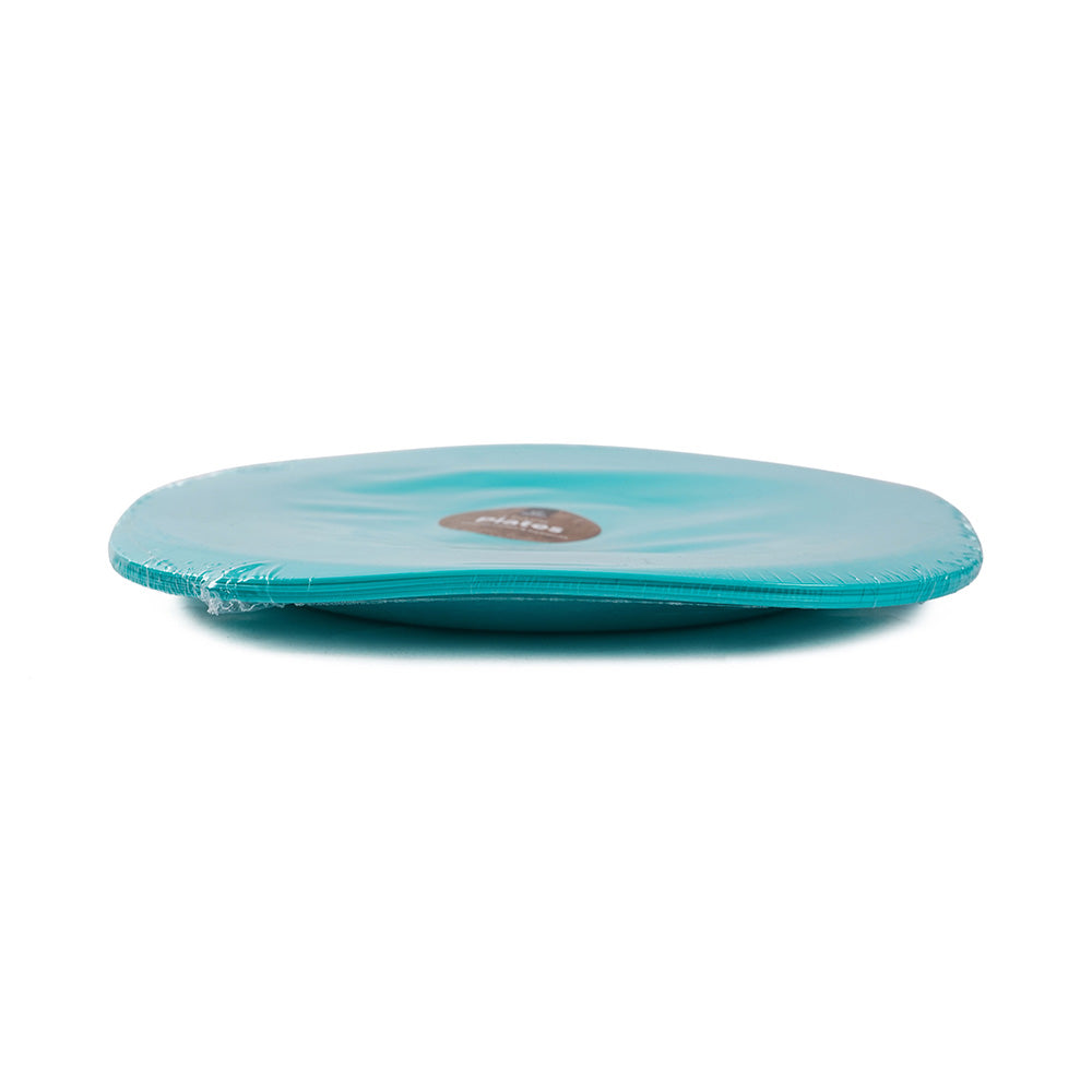 Picnic Plates 4PK
