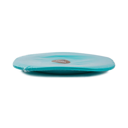 Picnic Plates 4PK