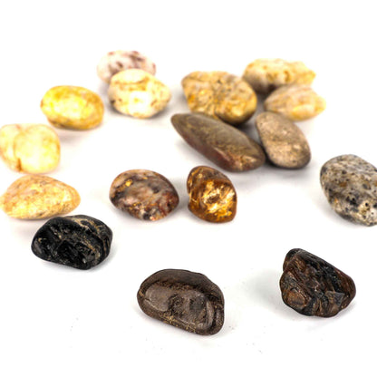 Mixed Polished Pebbles