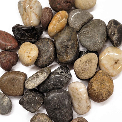 Mixed Polished Pebbles