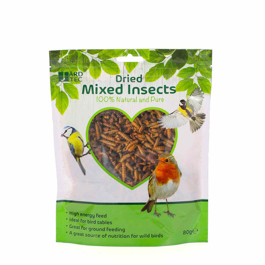 Dried Mixed Insects 80G