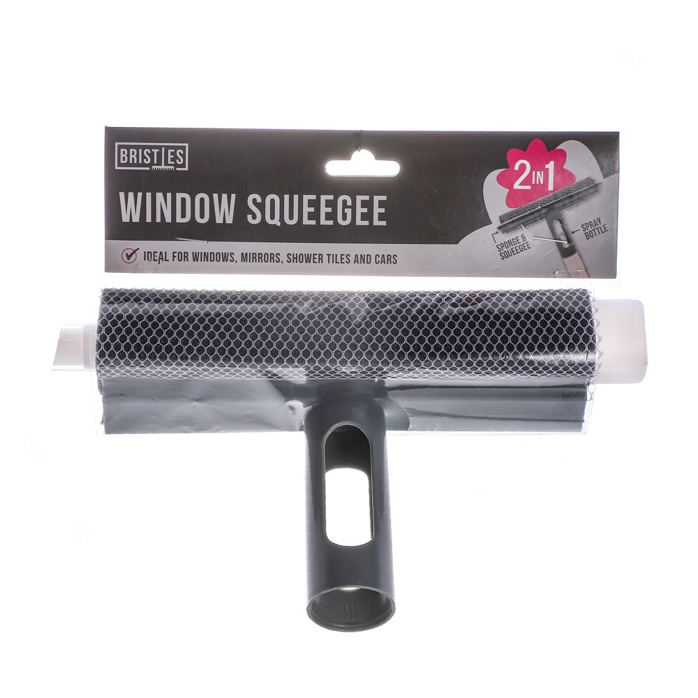 2In1 Window Sponge & squeegee