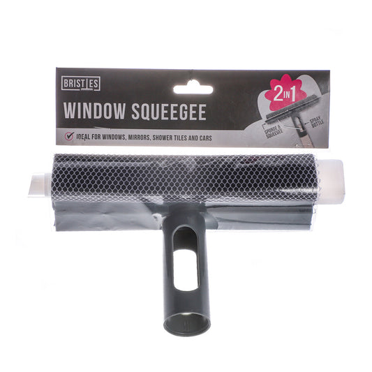 2In1 Window Sponge & squeegee