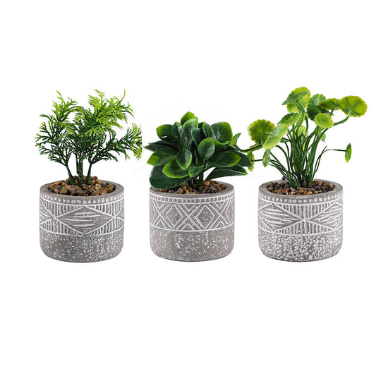 Decorative Patterned Grey Pot of Plant