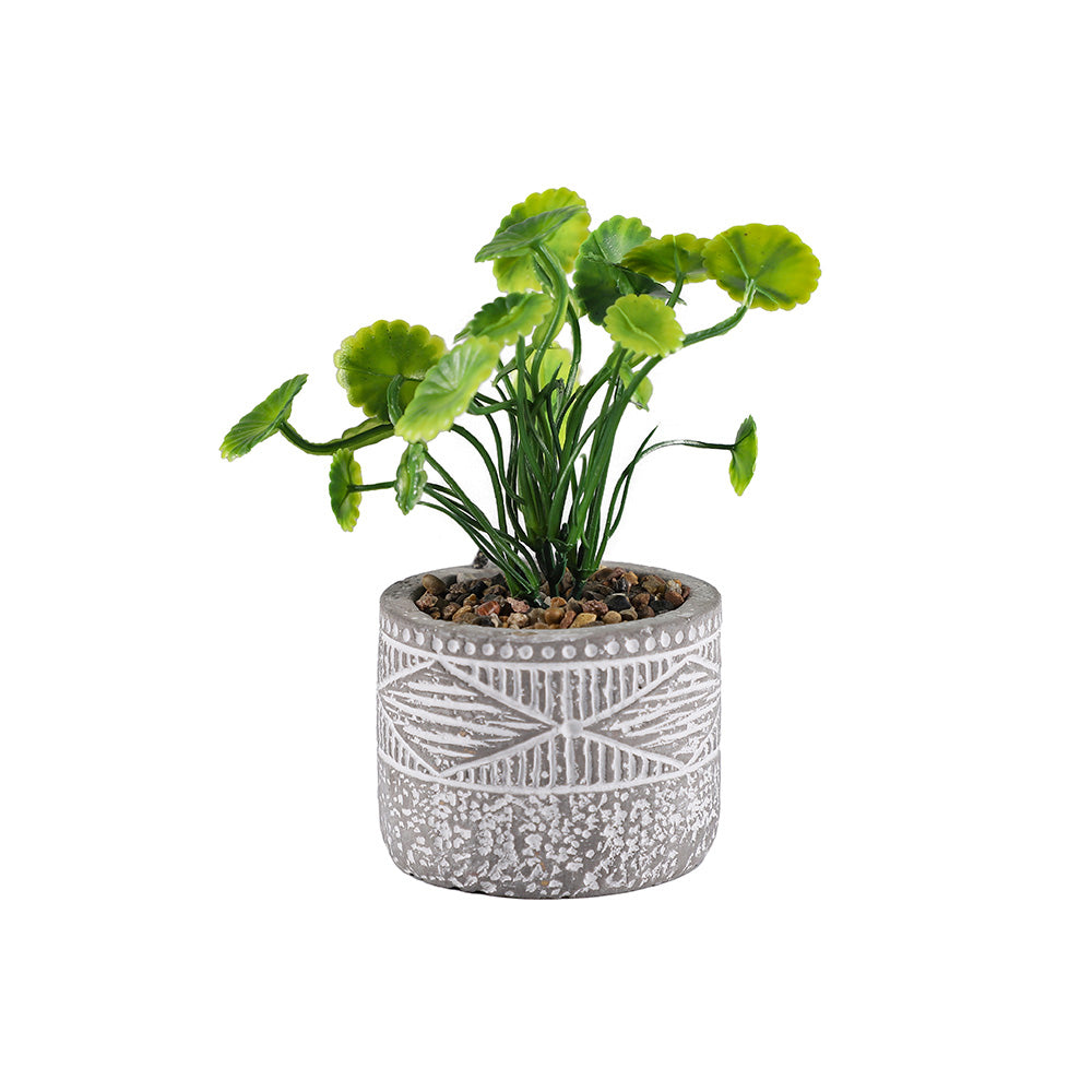Decorative Patterned Grey Pot of Plant