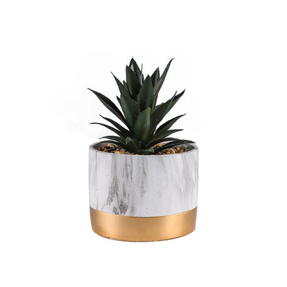 Succlent Marble Pot of Plant