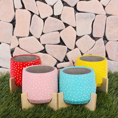 Spotty Pot with Wood Legs