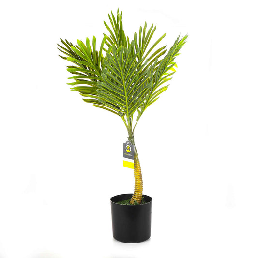 Palm Leaf 70cm
