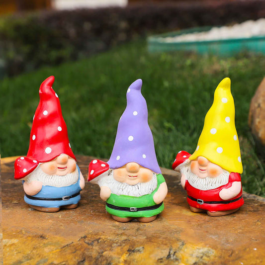 Gnome & Toadstool