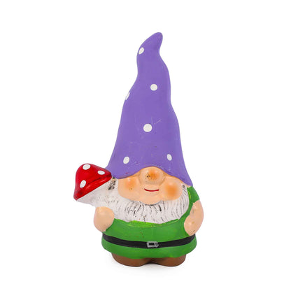 Gnome & Toadstool