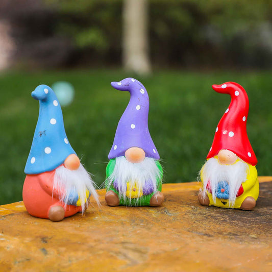 Gnome With Beard