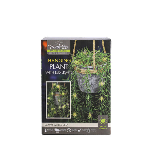 Solar Hanging Basket Plant