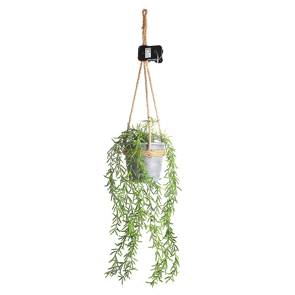 Solar Hanging Basket Plant