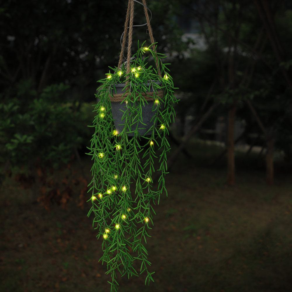 Solar Hanging Basket Plant