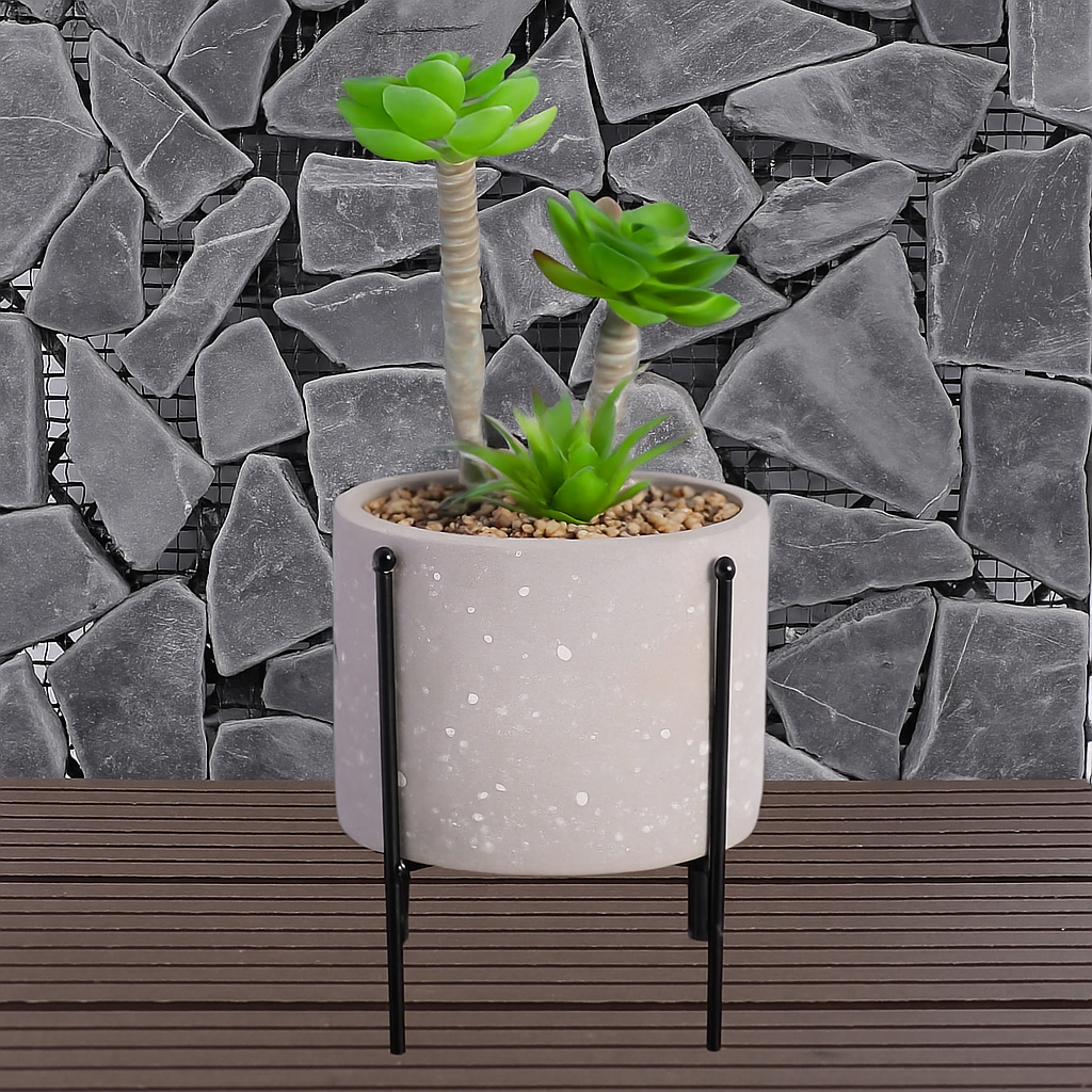Succulent Plant in Pot with Legs