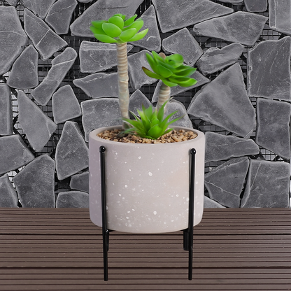 Succulent Plant in Pot with Legs