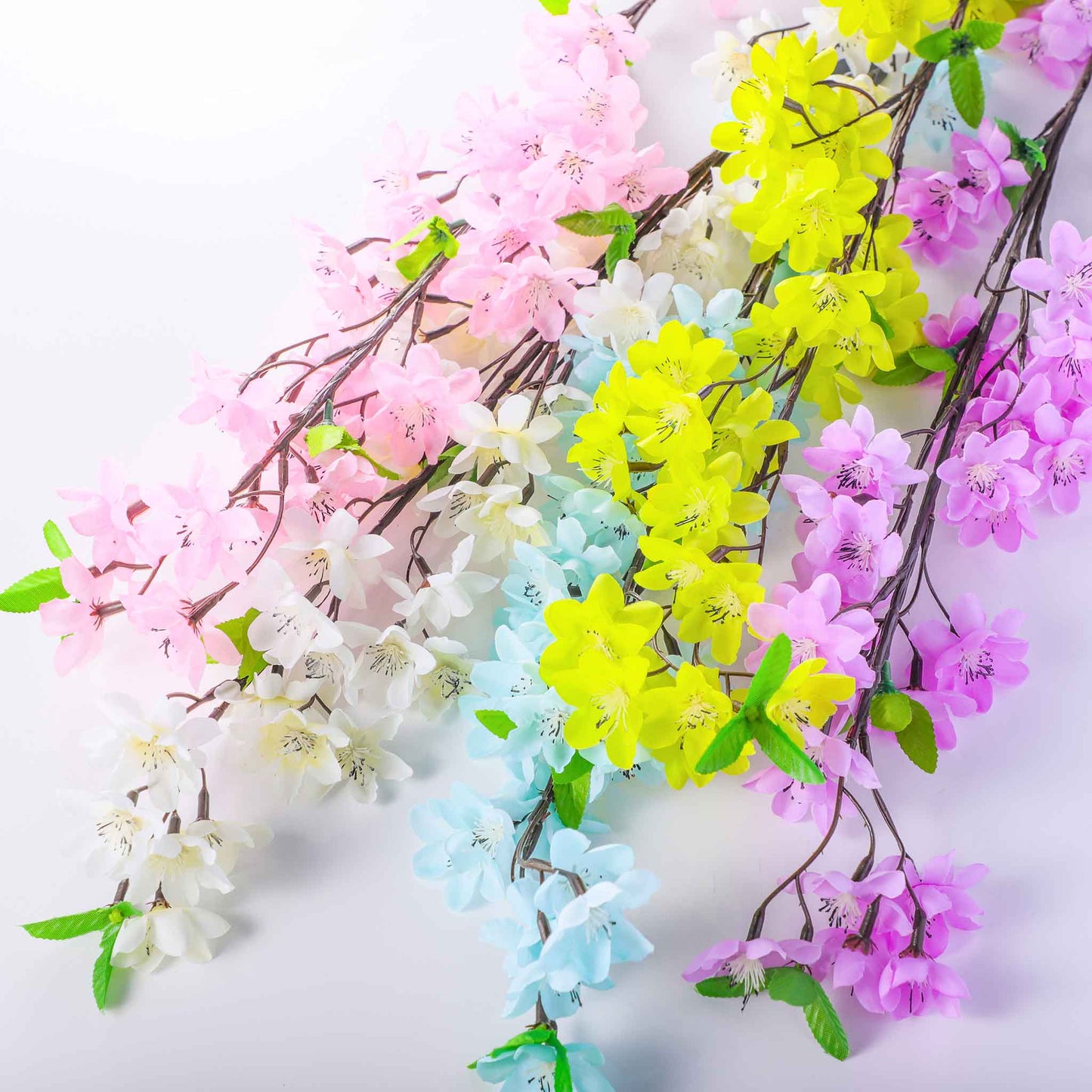 Flower Blossom
