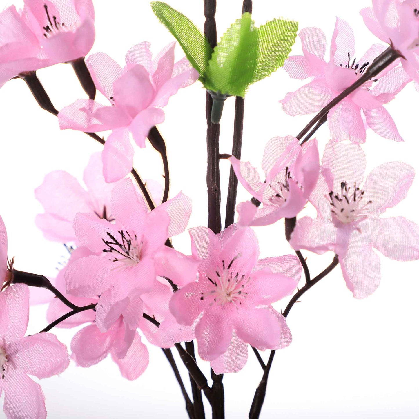 Flower Blossom